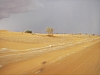 IMGP0714.JPG