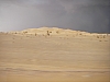 IMGP0719.JPG