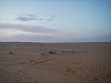 IMGP0734.JPG