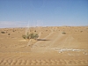 IMGP0747.JPG