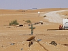 IMGP0755.JPG