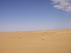 IMGP0774.JPG