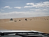 IMGP0778.JPG