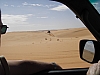 IMGP0782.JPG