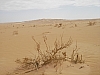 IMGP0803.JPG