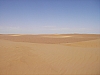 IMGP0804.JPG