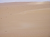 IMGP0805.JPG