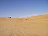 IMGP0811.JPG