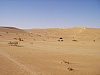 IMGP0823.JPG