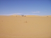 IMGP0824.JPG
