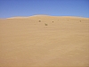 IMGP0826.JPG
