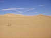 IMGP0827.JPG