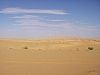 IMGP0829.JPG