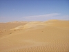 IMGP0830.JPG