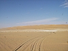 IMGP0834.JPG