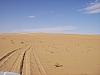 IMGP0835.JPG