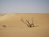 IMGP0836.JPG