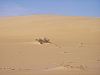 IMGP0837.JPG