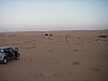 IMGP0854.JPG