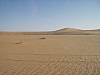 IMGP0856.JPG