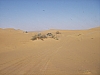 IMGP0865.JPG
