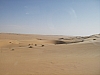 IMGP0873.JPG