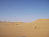 IMGP0874.JPG