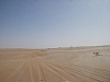 IMGP0878.JPG