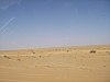 IMGP0885.JPG