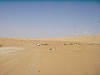 IMGP0894.JPG