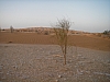 IMGP0911.JPG