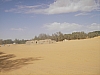 IMGP0935.JPG