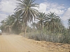 IMGP0939.JPG
