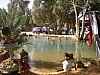 IMGP0941.JPG