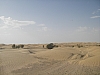 IMGP0955.JPG