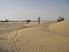 IMGP0960.JPG