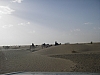 IMGP0961.JPG