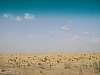 IMGP0962.JPG