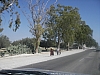 IMGP1006.JPG