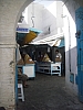 IMGP1015.JPG