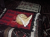 IMGP1033.JPG