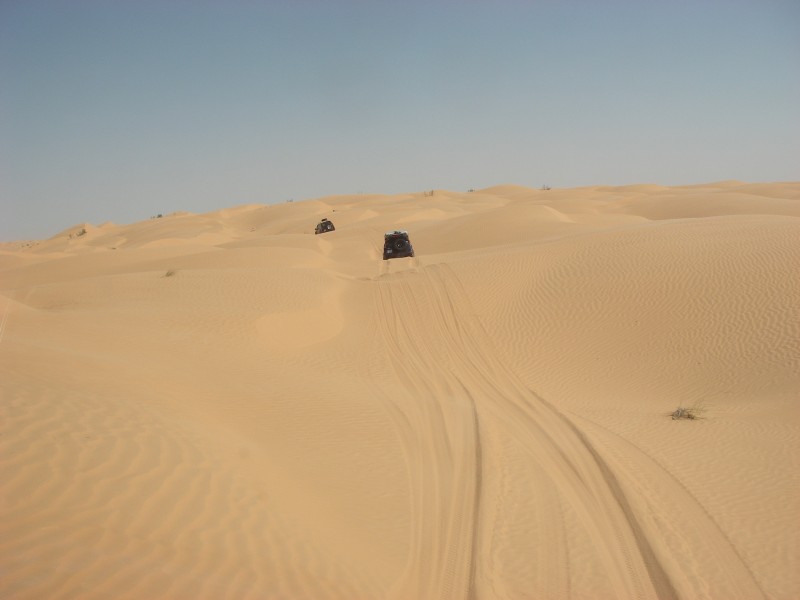 IMGP0185.jpg